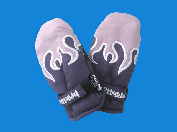 Ski gloves