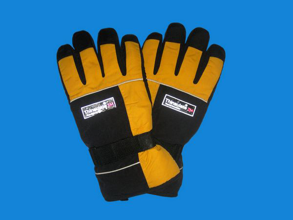 Ski gloves