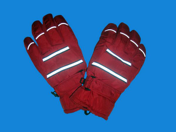 Ski gloves