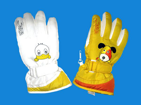 Ski gloves