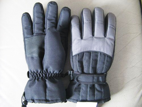 Ski gloves