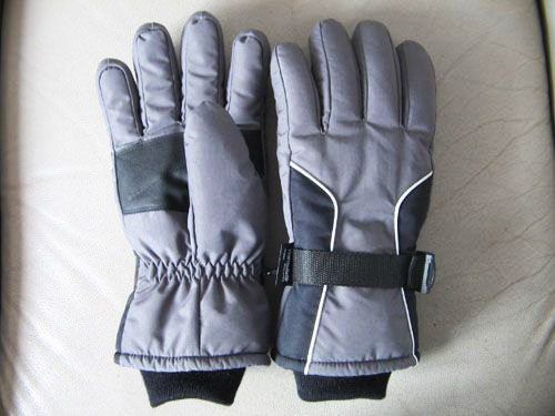 Ski gloves