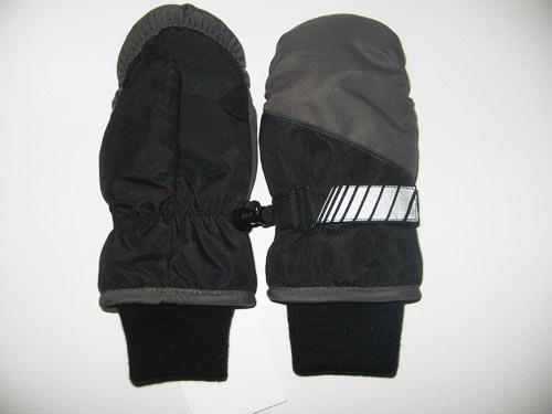 Ski gloves