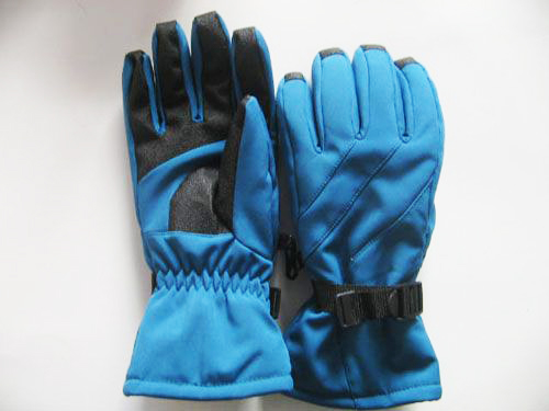 Ski gloves
