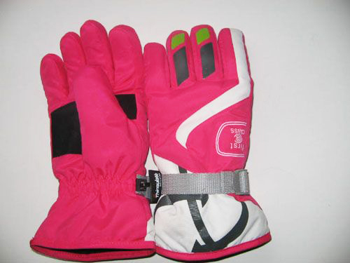 Ski gloves