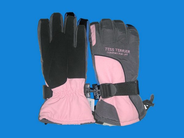 Ski gloves