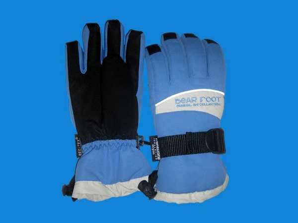 Ski gloves