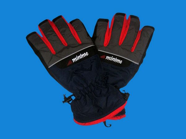 Ski gloves