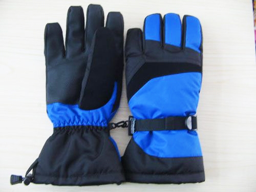 Ski gloves