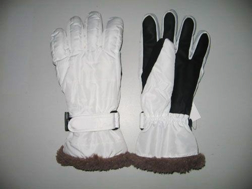 Ski gloves