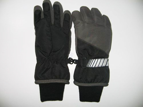 Ski gloves