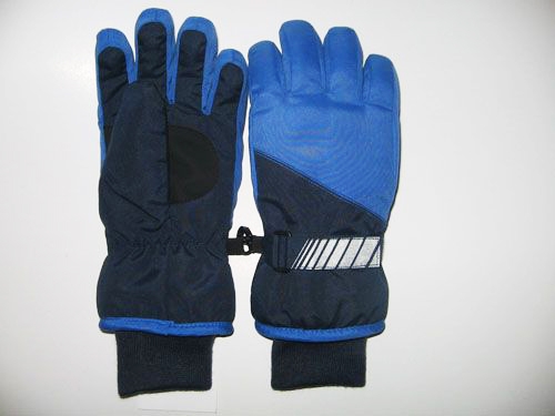 Ski gloves