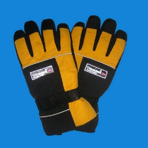 Ski gloves