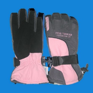 Ski gloves