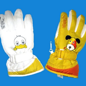 Ski gloves