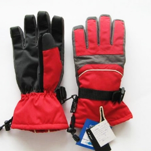 Ski gloves