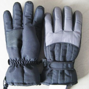Ski gloves