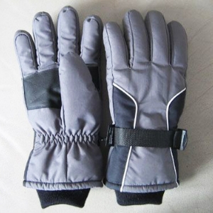 Ski gloves