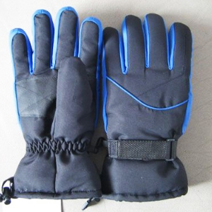 Ski gloves