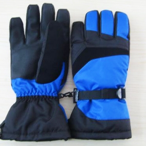 Ski gloves