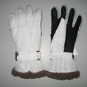 Ski gloves