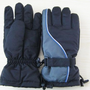 Ski gloves