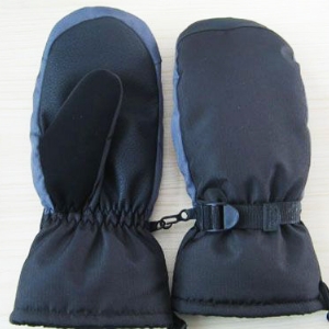 Ski gloves