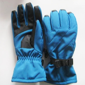 Ski gloves