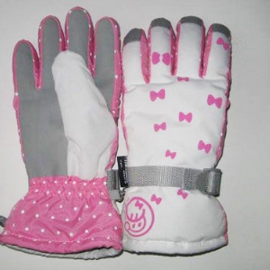 Ski gloves