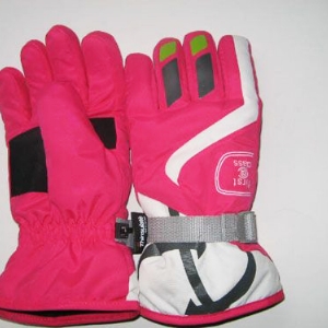 Ski gloves