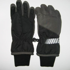 Ski gloves