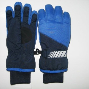 Ski gloves