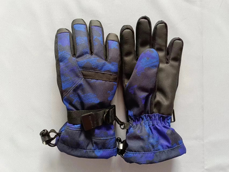 Ski gloves