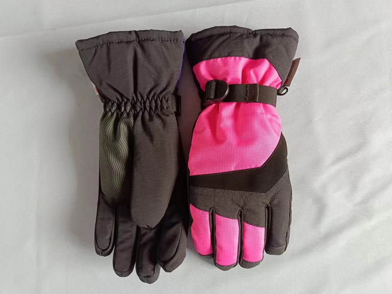 Ski gloves